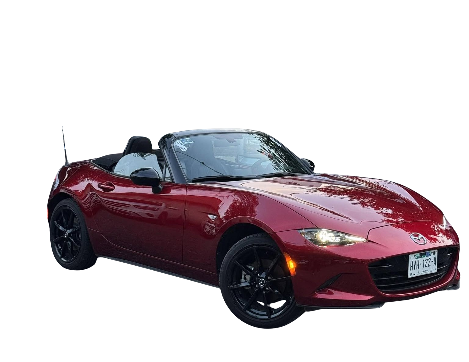 Auto Principal